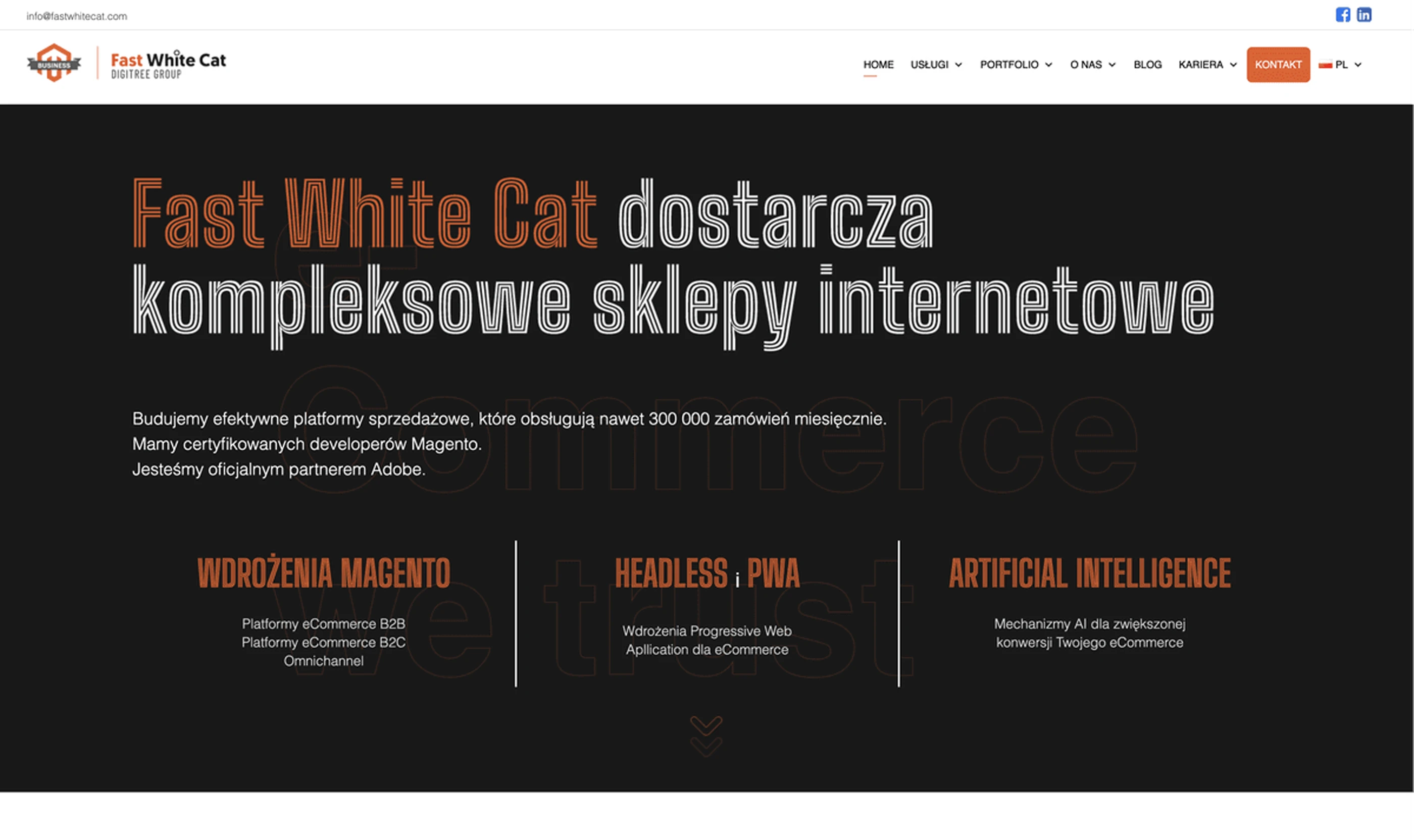 Previous Fast White Cat corporate website homepage